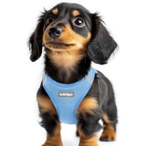 rabbitgoo Small Dog Harness, Step-in Soft Mesh Puppy Vest with Safety Buckle, Breathable Reflective Pet Harness for Extra Small Dogs, Blue XXS - 1 of 1
