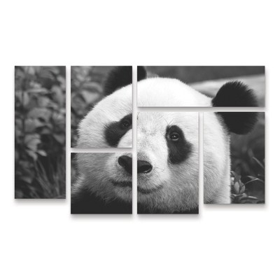 Trademark Fine Art SD Smart Giant Panda 6 Piece Panel Set Art