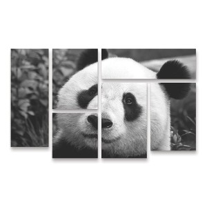 Trademark Fine Art SD Smart Giant Panda 6 Piece Panel Set Art - 1 of 3