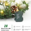 GAOMON 24 Inch Christmas Wreath with Lights, Lighted Large Outdoor Christmas Door Wreath with 20 Battery Operated - 4 of 4