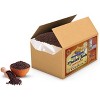 Black Mustard Seeds Whole- 400oz (25lbs) 11.36kg - Rani Brand Authentic Indian Products - 3 of 4