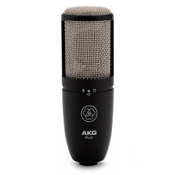 AKG P420 Professional Dual-Capsule True Condenser Microphone