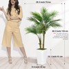 5ft Realistic Artificial Palm Tree in White Planter | Faux Tropical Plant for Indoor Home Decor | Modern & Lifelike Greenery - 3 of 4