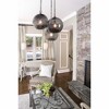 Progress Lighting Malbec 1-Light Pendant, Graphite Finish, Clear Textured Artisanal Glass Shade - 3 of 4