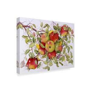 Trademark Fine Art -Marcia Matcham 'Apples On A Branch' Canvas Art - 1 of 3