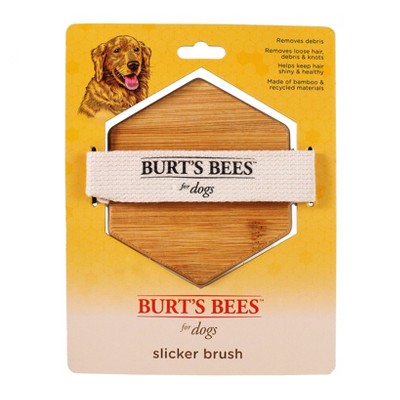 Burt's Bees Palm Slicker Dog Brush