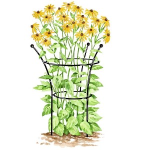 Gardener's Supply Company Essex Plant Support | Sturdy Metal Plants Support Frame For Peonies, Rose Ornamental Flower Garden Cage | Wide Top Rings - 1 of 1