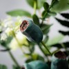 Sullivans Green Pod Foliage Wreath - 2 of 3
