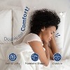 Martex Sweet Dreams Twin Pack Pillow - 4 of 4