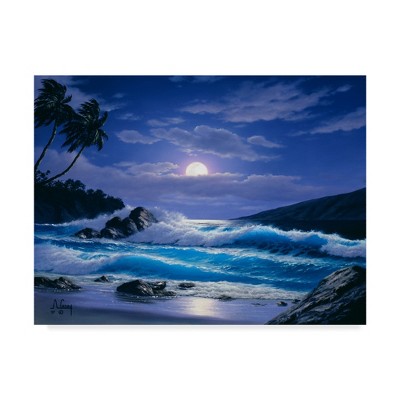 Anthony Casay Coastal Moonlit Ocean Scene Canvas Art, 18'' x 24''