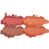 Jason Wu Beauty Flora 4 Eyeshadow - 0.08oz - 3 of 4