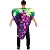 Orion Costumes Purple Grapes Adult Costume | One Size Fits Most - 2 of 3