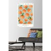 Trends International Reinders: Fruit Market - Valencia Oranges Unframed Wall Poster Prints - 2 of 4