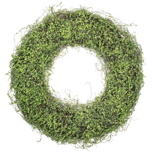 Sullivans Artificial 22" Leafy Green Vine Wreath - 1 of 4
