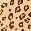 classic leopard