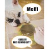 Interactive Puzzle Toy for Dogs Enrichment Pet Slow Feeder Dispenser for Dry Food and Treat Dispenser (All Breed Sizes) - 3 of 4