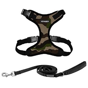 Voyager Step-In Lock Adjustable Dog & Cat Harness and 5ft Leash Combo - 1 of 4