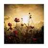 Trademark Fine Art -Christian Marcel 'Watching The Sun' Canvas Art - 2 of 4