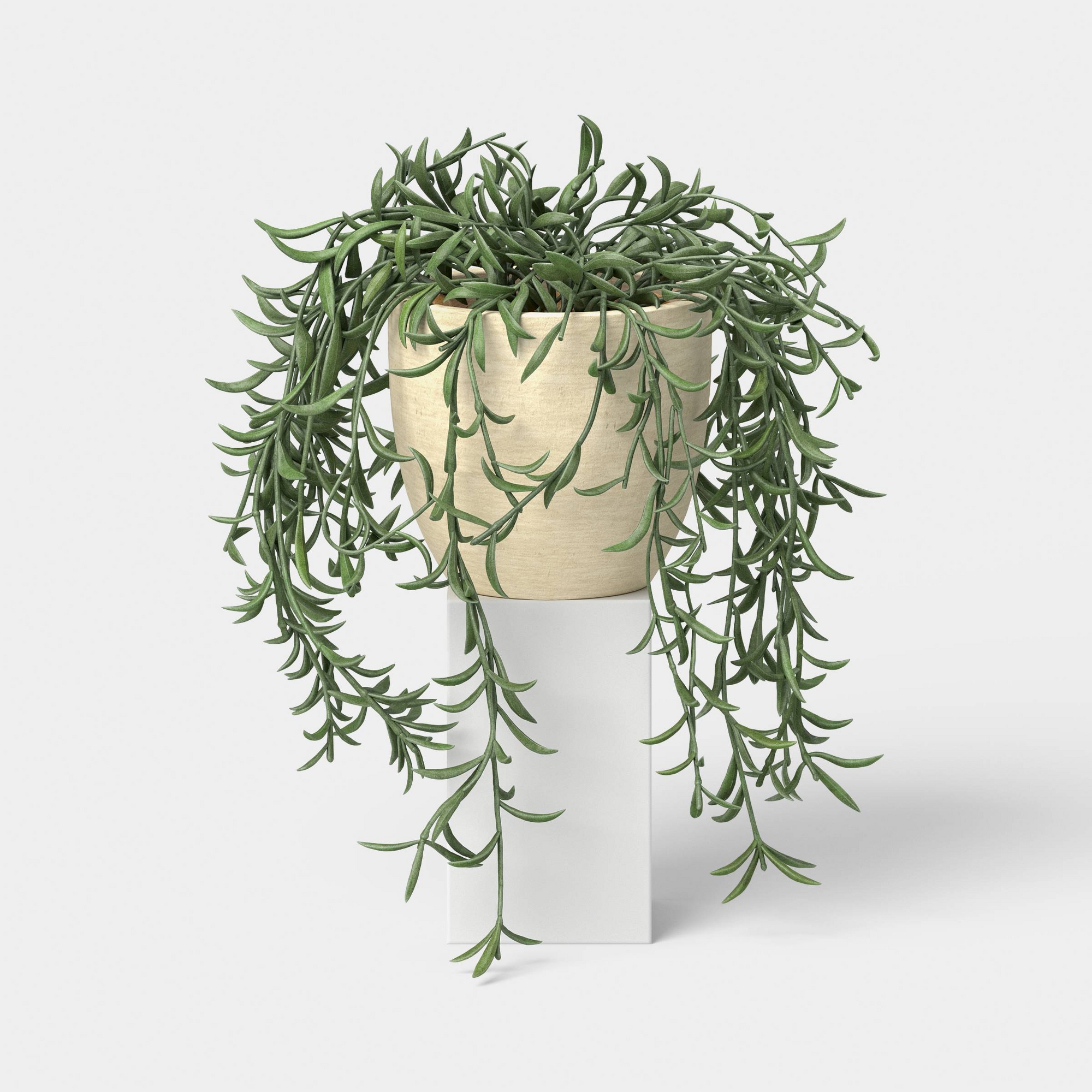6" Small Artificial Potted Trailing Senecio - Threshold™