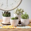 Sullivans Etched Terracotta Planter Set of 4, 3.75"Tall, Pottery - 3 of 3