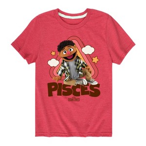 Boys' - Sesame Street - Pisces Tamir Short Sleeve Graphic T-Shirt - 1 of 4