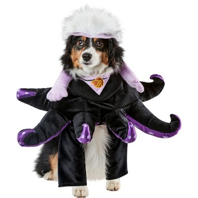 Halloween Costume Idea With Dogs: Snow White, The Evil Witch and