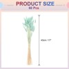Unique Bargains Natural Dried Floral Bunny Tail Artificial Plants 60 Pcs - 2 of 4