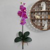 Nearly Natural 40-in Large Orchid Phalaenopsis Artificial Flower (Set of 3), Orchid - 2 of 3