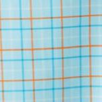 light blue check