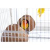 Prevue Pet Products Naturals Double Coconut Walk for Small Animals & Birds 62818,16X4X9 - 3 of 4