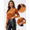 INSPIRE CHIC Women's Casual Vintage Velvet Crew Neck Long Sleeve T-shirts - 2 of 4
