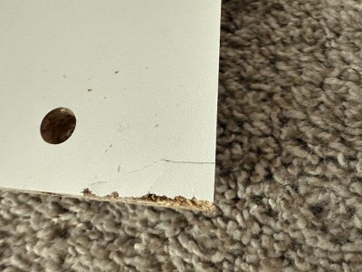 Guest review image 2 of 2, zoom in