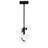 CWI Lighting Arya 8 Light Pendant With Black Finish - 4 of 4