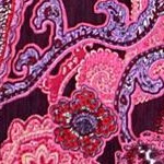 raspberry mixed paisley