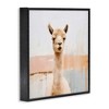 Stupell Industries Rustic Llama Portrait, 24" x 24" - 3 of 4