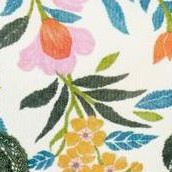 botanical studies c01 v1