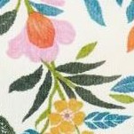 botanical studies c01 v1