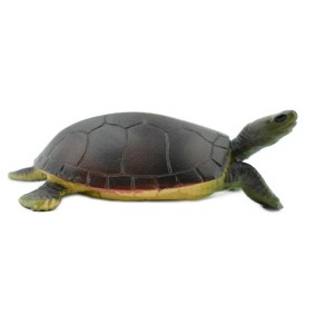 Collectible Wildlife Gifts | Turtle, Yellow Pond Turtle, Rubber Reptile, Realistic Toy Figure, Model, Hand Painted, Gift,   2 1/2"   CH421 BB108 - 1 of 4