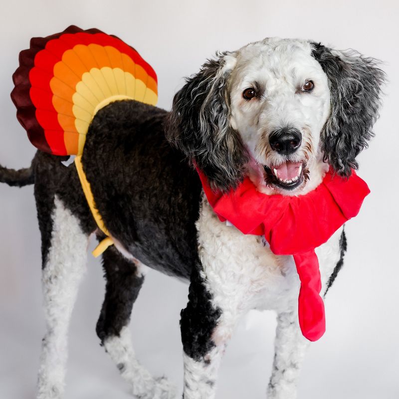 Midlee Turkey Beard & Tail Thanksgiving Dog Costume, 4 of 7