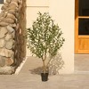 DR.Planzen 4-6FT Single-Trunk Artificial Olive Tree Fake Plants with Realistic Black Olives ¨C Indoor/Outdoor Plant for Home Decor - 2 of 4