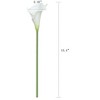 Duovlo 20pcs Calla Lily Bridal Wedding Bouquet Lataex Real Touch Artificial Flower Home Party Decor (White) - 4 of 4