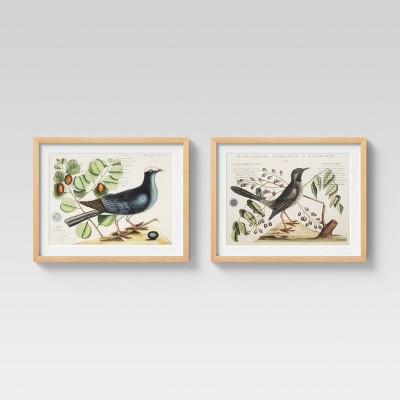 (Set of 2) 16" x 20" Vintage Bird Pairs & Marseilles Framed Under Glass with Mat - Threshold™