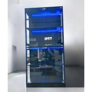 Display Cabinet with Glass Doors - 1 of 2