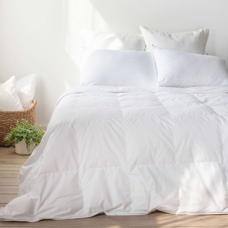 Feather & Down Duvet Comforter Insert | BOKSER Home, 1 of 11