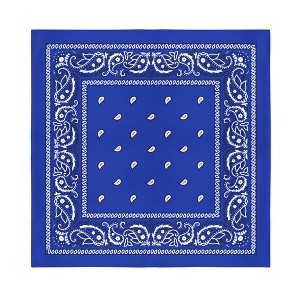 Balec Bulk Wholesale 60 Pack Paisley Polyester Bandanas Unisex - 1 of 4