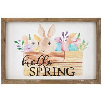 Northlight Hello Spring Framed Easter Wall Sign - 11.75"