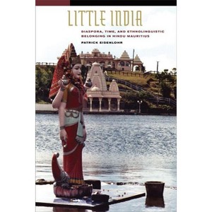 Little India - by  Patrick Eisenlohr (Paperback) - 1 of 1