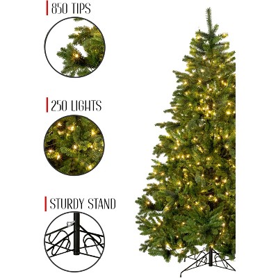Perfect Holiday Prelit Calgary Spruce Christmas Tree with Warm White Lights