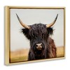 Stupell Industries Black Highland Cow Portrait Floating Frame Canvas Art, Gold, 21" x 17" - 2 of 4
