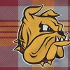 NCAA Minnesota Duluth Bulldogs Plaid Steel Royal Plush Faux Shearling Blanket - 2 of 3
